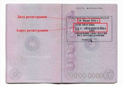 Почему важно указывать наличие ребенка в паспорте